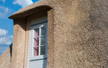 Rampside thatch roof disadvantages