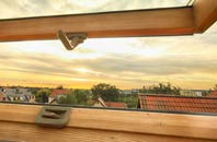 rated Rampside roof window companies